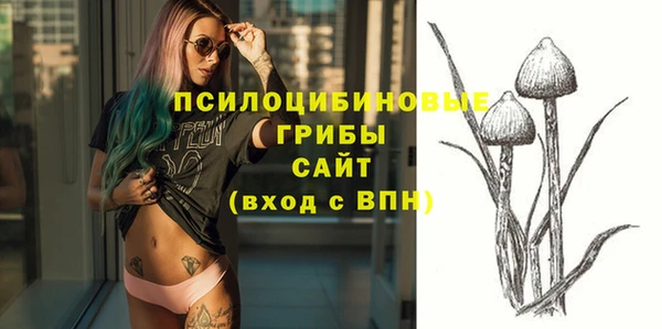 ПСИЛОЦИБИНОВЫЕ ГРИБЫ Алзамай