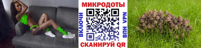 Галлюциногенные грибы Magic Shrooms Апрелевка