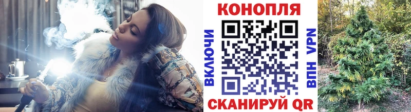 закладки  Апрелевка  Канабис конопля 